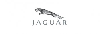 Jaguar custom logo