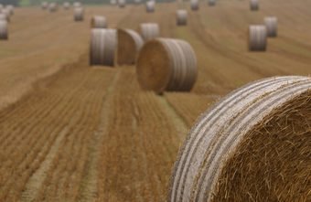 Machines enabled agricultural productivity to increase even as agricultural employment dropped.