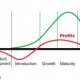 Automobile industry life cycle