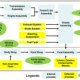 Automobile Manufacturing process