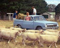 Auto industry in Australia