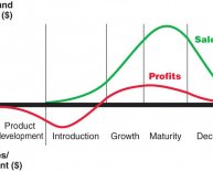 Automobile industry life cycle